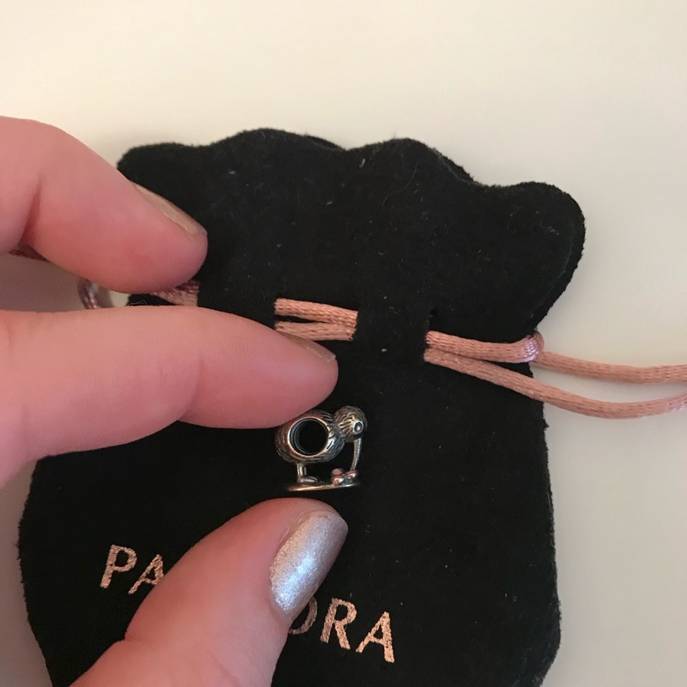 Pandora Kiwi Bird Charm